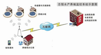 志恒智能水產(chǎn)養(yǎng)殖監(jiān)控系統(tǒng) 計(jì)算機(jī)系統(tǒng)集成與技術(shù)維護(hù)